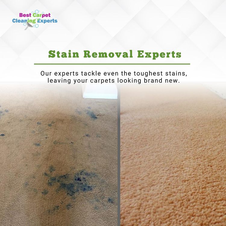 Stain Removal Experts