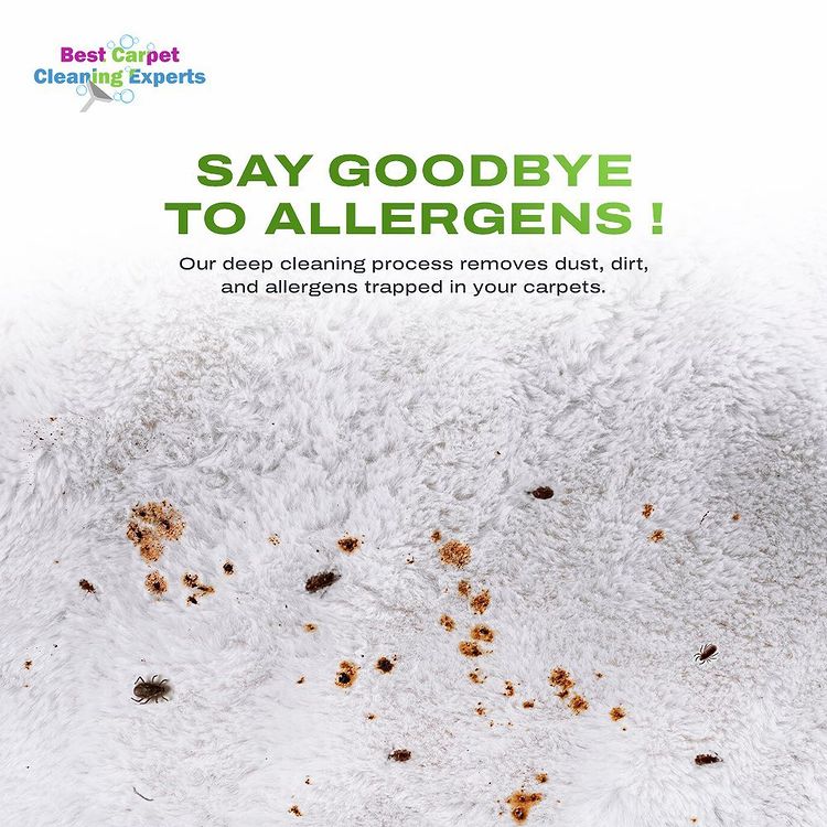 Say goodbye to allergens