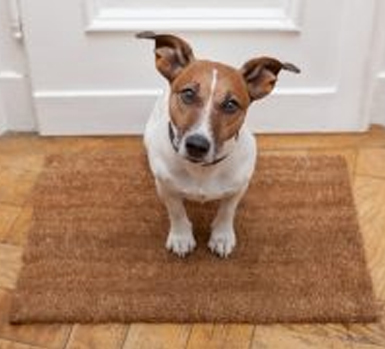 Group 1321314580 A brown doormat with a dog standing on it