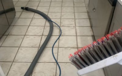 Why Professional Carpet Cleaning Is Essential for San Antonio Homes